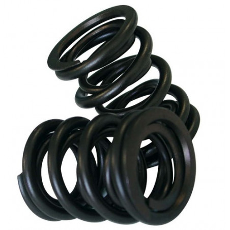 Spring Valves' Kit CAT CAMS External Clio RS