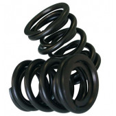 Spring Valves' Kit CAT CAMS External Clio RS