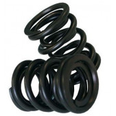 Spring Valves' Kit CAT CAMS Inner TU5J4 (X8)