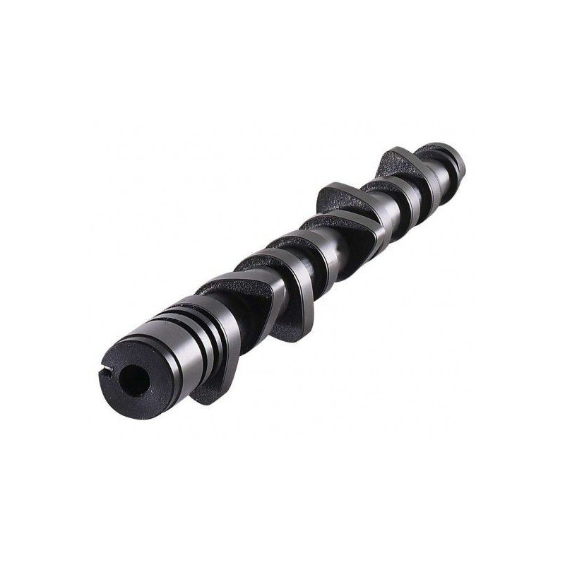 Nockenwelle CAT CAMS Peugeot 309 / 405 16S HYDR 282° (DIE 2) XU9J4 - CC-4900528 - 4900528/S - 3661768054260