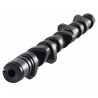 Arbre à Cames CAT CAMS BMW E30 288° / 272° Moteur M20