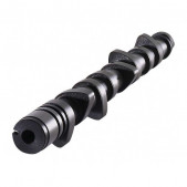 CATCAMS - Camshaft for Peugeot 206 1.6 16V TU5 JP4 291°-282°