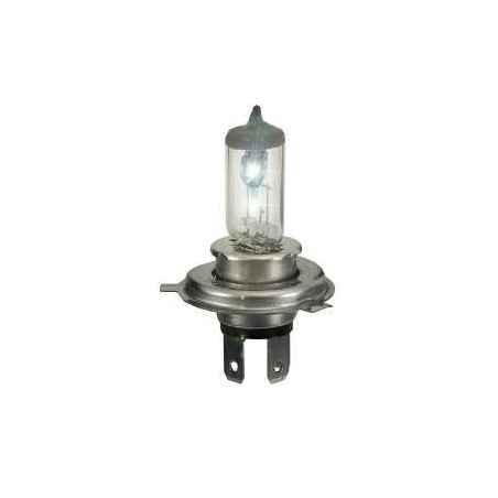 Lampada / Lampadina H4 100W 12V