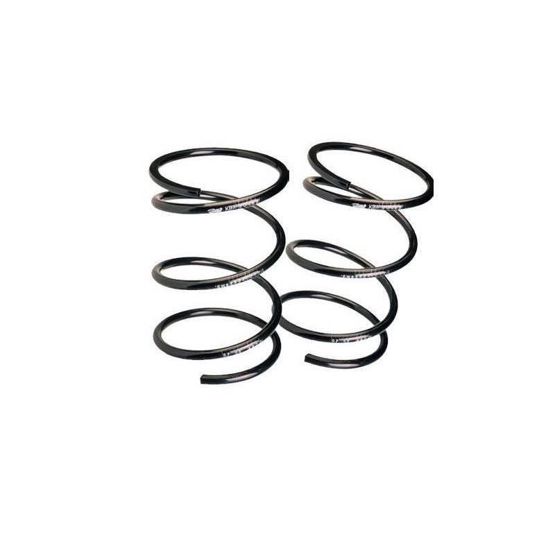 Kit Molla Sospensione Eibach Volkswagen Passat (3C2) 3/1985+ -30mm - EI-10850160222 - E10-85-016-02-22 - 3661768218914