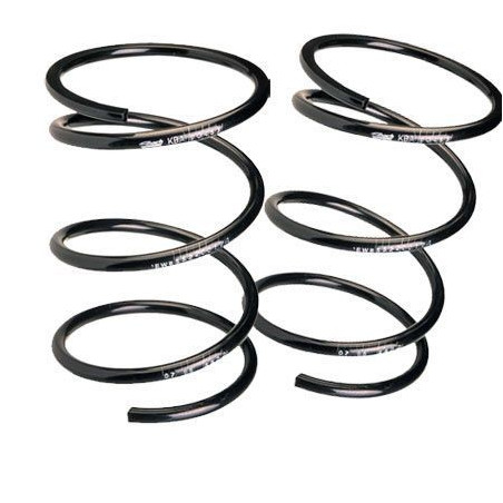 Kit Ressort Suspension Eibach Citroën Saxo 16s -45mm