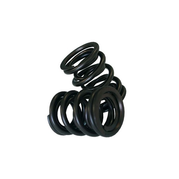 kit Ventilfedern CAT CAMS CAT CAMS Doppel Volkswagen GTI 8S - CC-PAC-D99860-8 - PAC-D99860 (X8) - 3661768057209