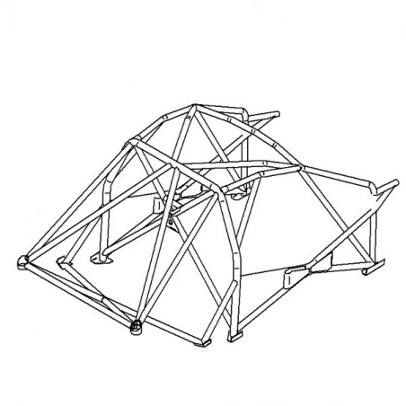 Roll Bar Sparco Renault Clio 3 RS Dopo 2006