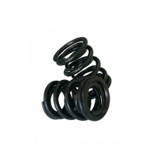 Cat cams Valve Spring Renault  5 GT Turbo (part)