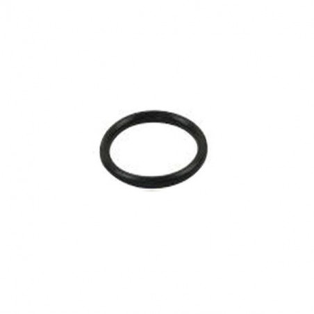 Guarnizione Pistone Pinza AP Racing 1.25