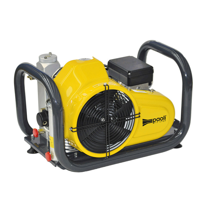 Paoli-Kompressor DPH220 - PAO-B210102 - B.21.0102 - 3661768609385