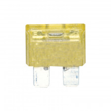 20 Amps Reed Fuse