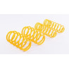 ST Suspensions springs