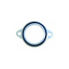 Flange carburatori