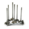 Engine Valves
