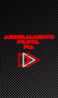 Abbigliamento pilota FIA